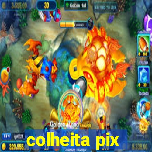 colheita pix